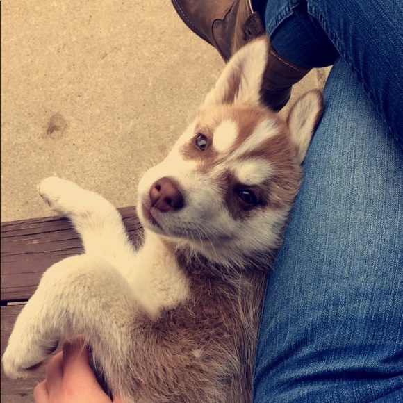 Meet your Posher, Michelle - Picture 1 of 1